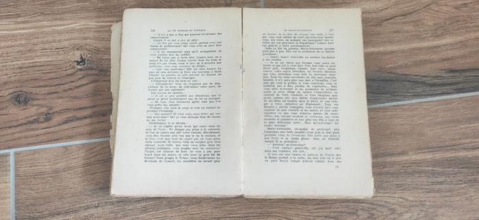 La vie joyeuse et tragique de Marie Antoinette - photo numéro 3