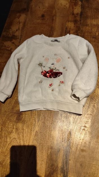 Pull polaire