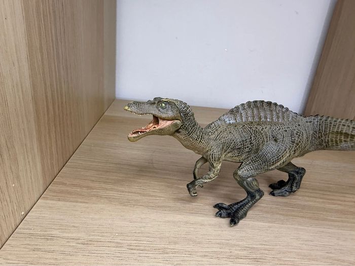 Jeune spinosaurus papo - photo numéro 2