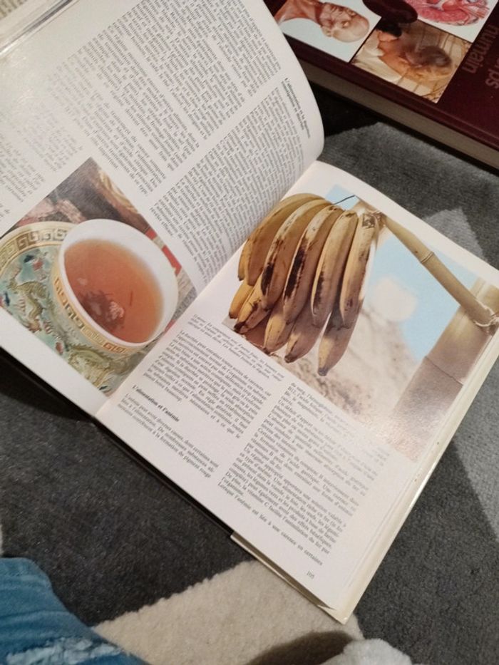 Livre encyclopédie - photo numéro 6