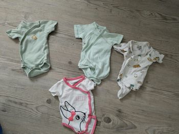 Lot de 4 bodies manches courtes 54 cm