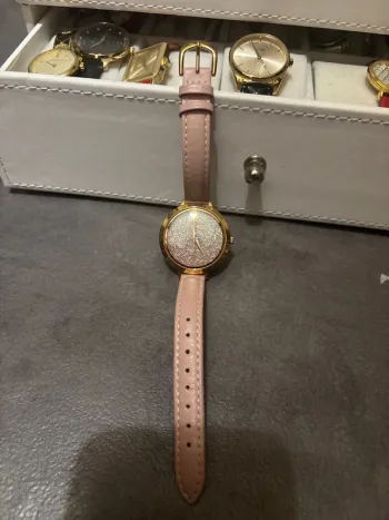 Montre Pierre Lannier