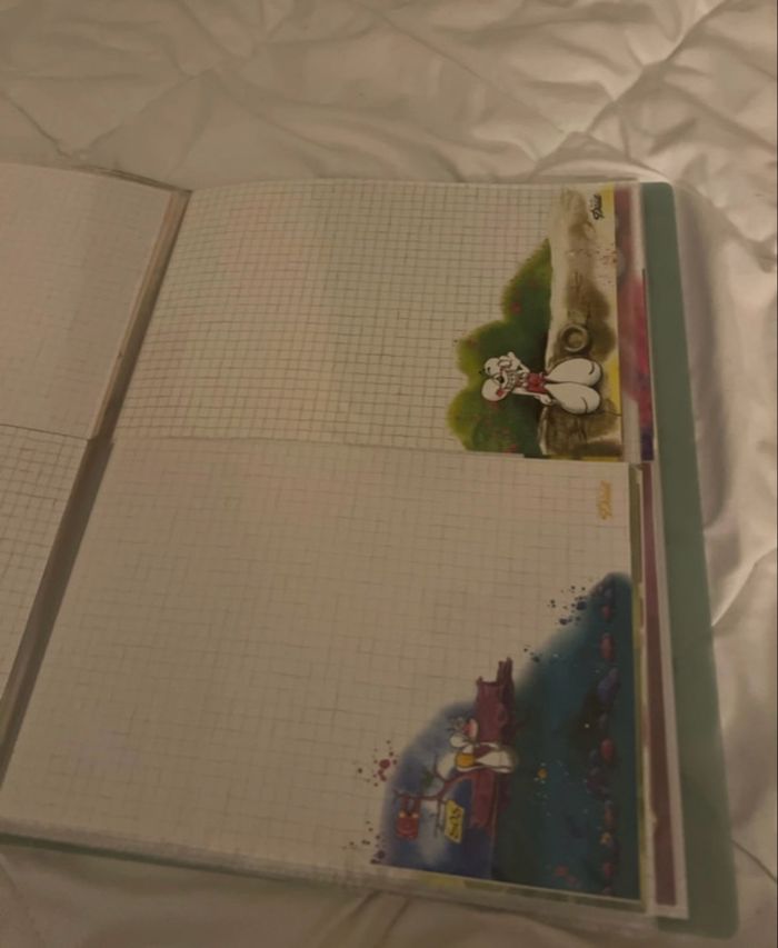 Porte-vue 100 feuilles Diddl 🐭💚 - photo numéro 8