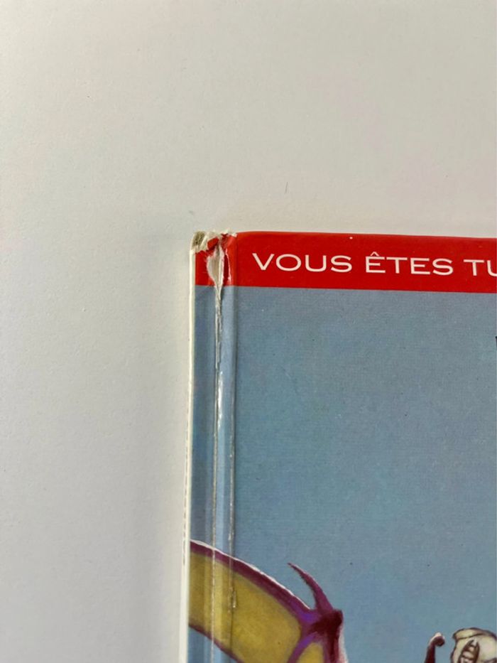 Rare BD interactive vintage : Turlogh le rôdeur - La sphère du Nécromant - photo numéro 3