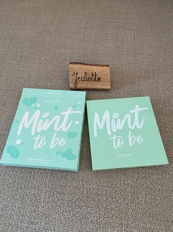 Palette Mint to Be ColourPop Neuf, jamais utilisé