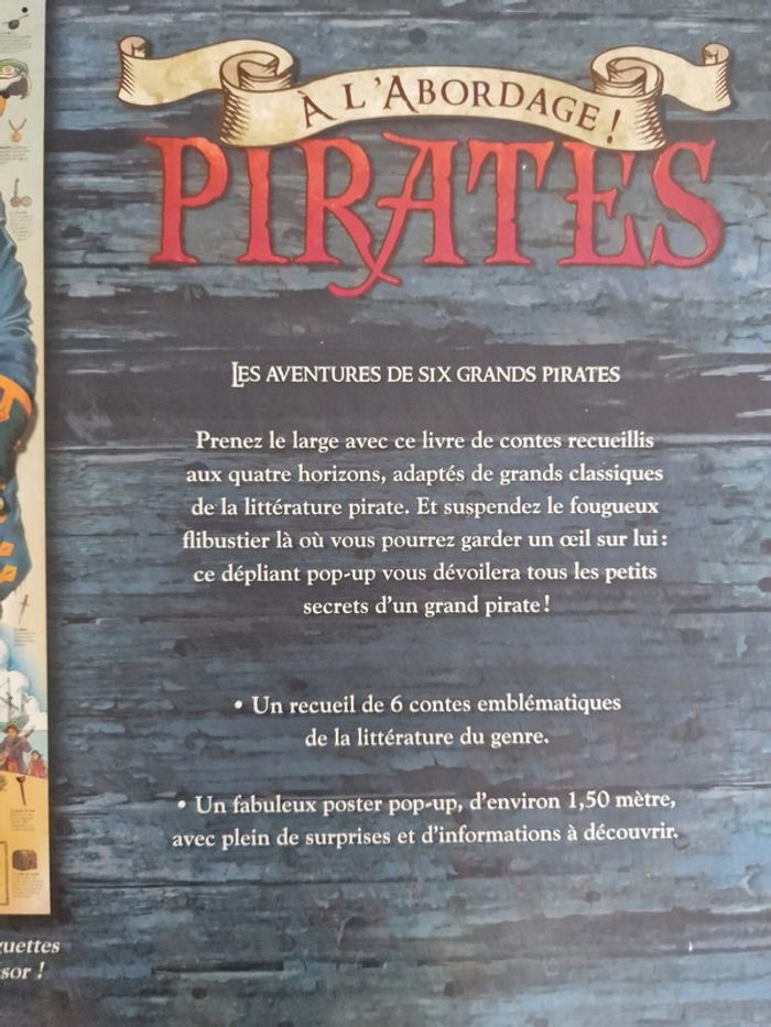 Livre A l'abordage ! Les pirates - photo numéro 8