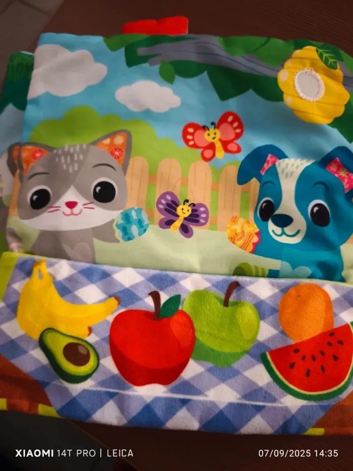 Grand livre toudoux des découvertes VTech - photo numéro 8