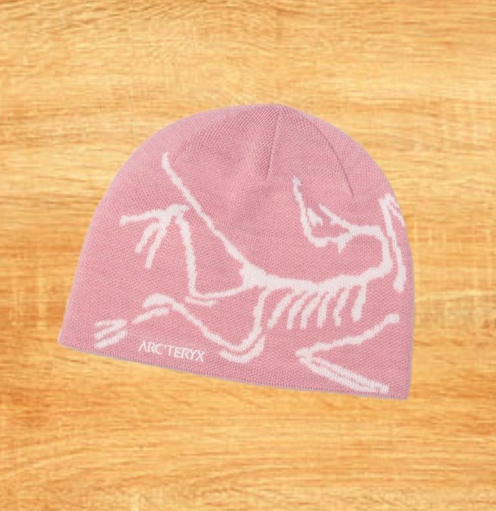 Bonnet Arc’teryx Bird Head Rose Neuf - photo numéro 2
