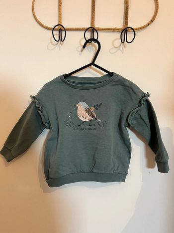 Pull oiseau