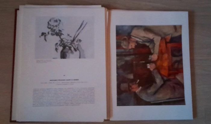 Paul cezanne - Meyer schapiro - photo numéro 3