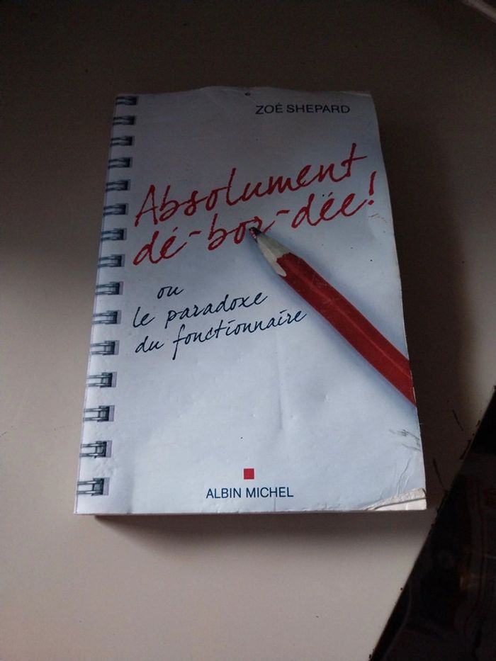 Absolument débordée