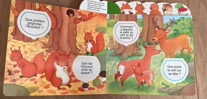 Livre pop up - les petits secrets de la forêt - photo numéro 2