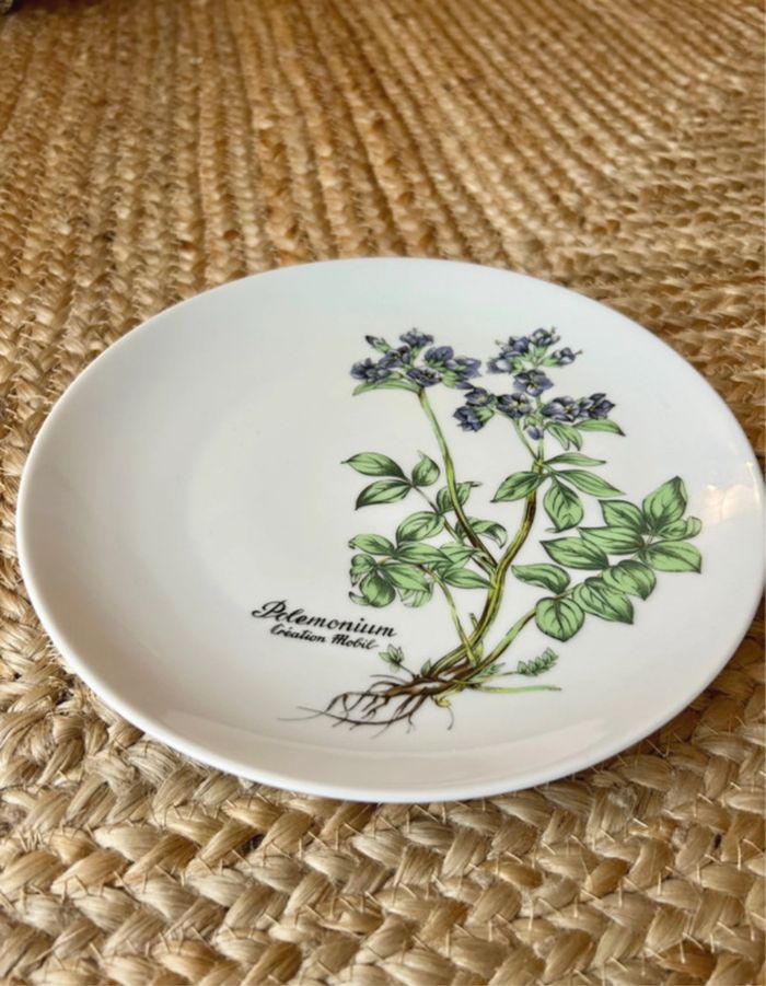 Assiette plate en porcelaine - photo numéro 2