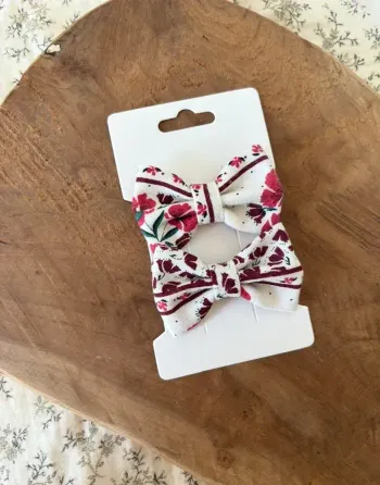 Barrettes James a dit