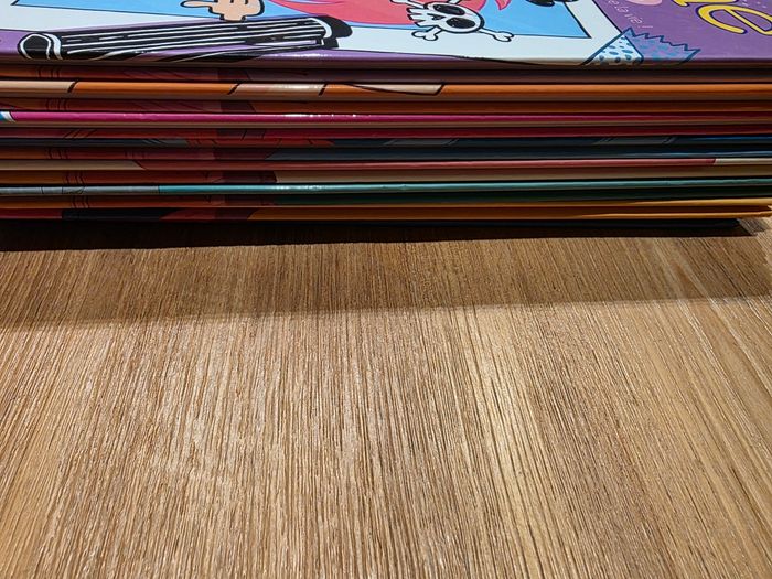 Bd marie lune - photo numéro 6