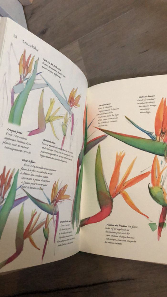 Le carnet nature de l’aquarelliste - photo numéro 6