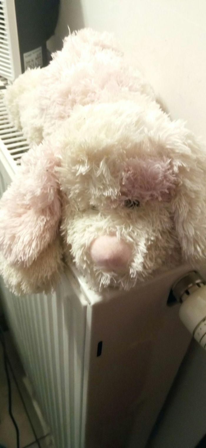 Nounous - photo numéro 5