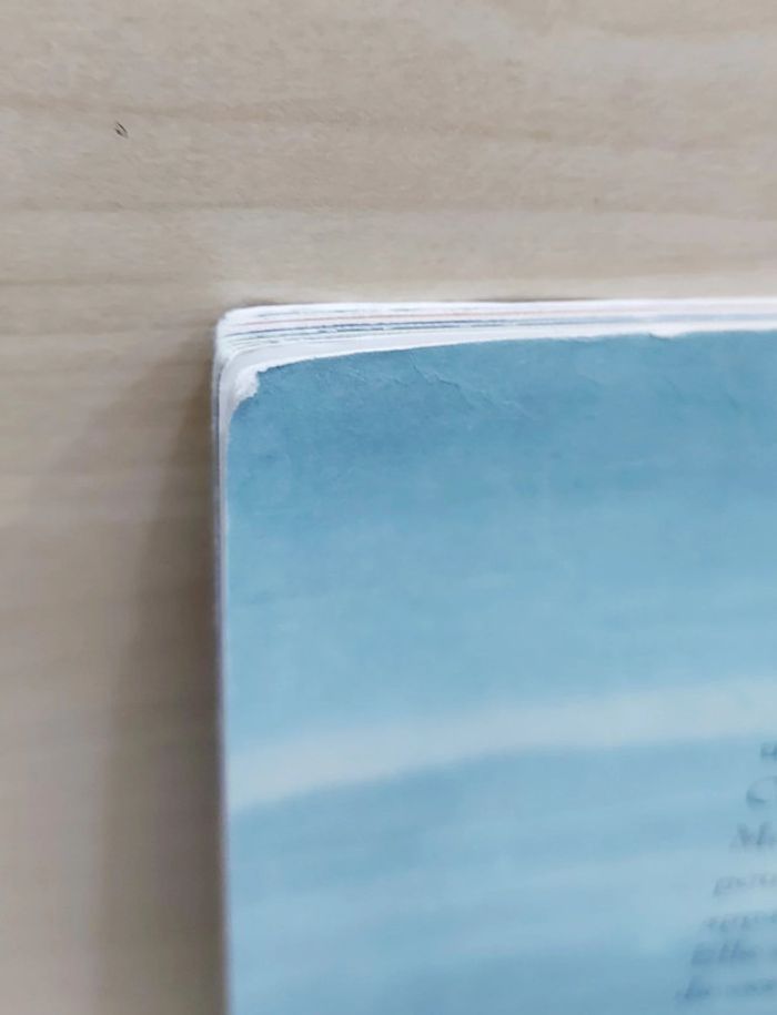 🌺 Livre (école des loisirs) : Lian - photo numéro 7