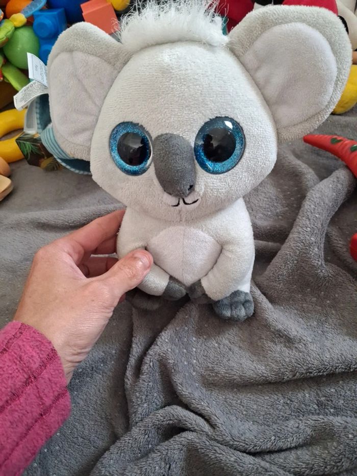 Koala