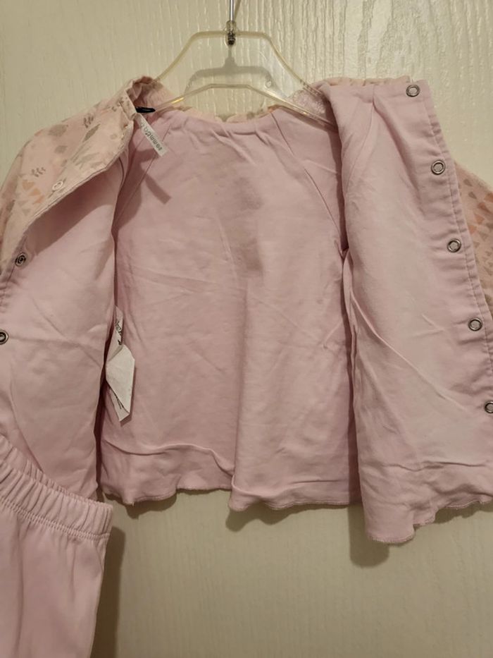 Ensemble 3 pommes - photo numéro 3