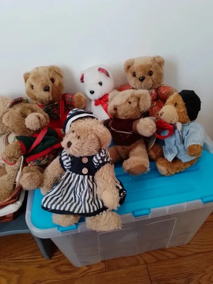 La famille Ours au grand complet. Qui l'adoptera pour la vie ? - photo numéro 6