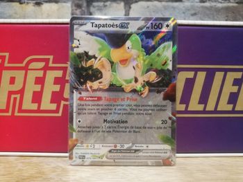 Carte Pokemon Tapatoes EX 075/091