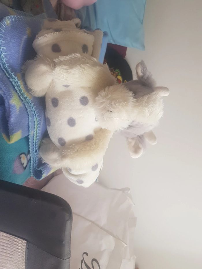 Jolie vache avec couverture