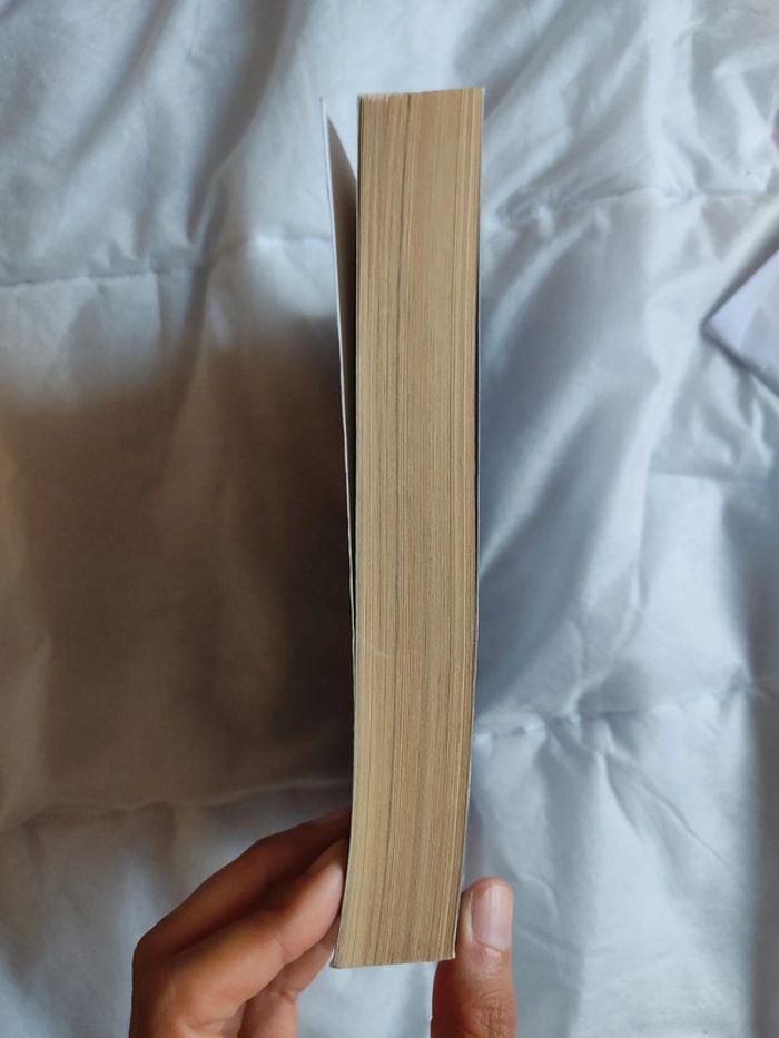 Livre - La cité en flammes - Don Winslow - TBE - photo numéro 4