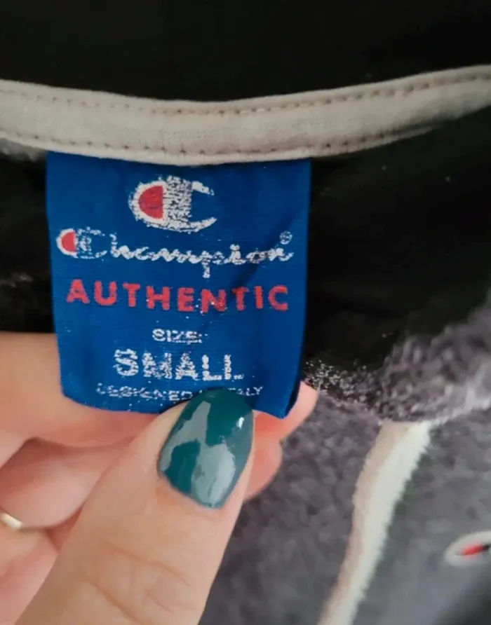 Pull capuche Champion - photo numéro 4