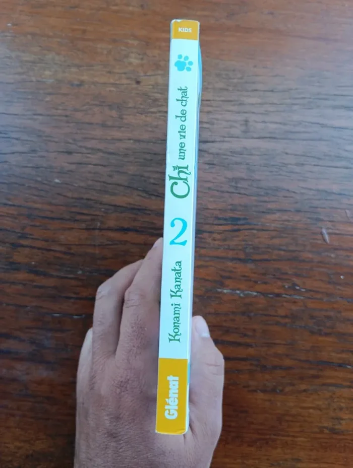 Manga chi tome 2 - photo numéro 3