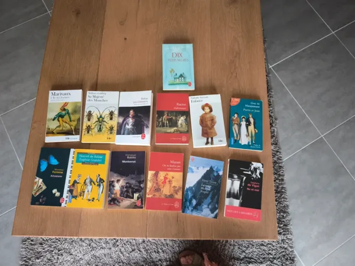 Lot de 13 livres de littérature classique
