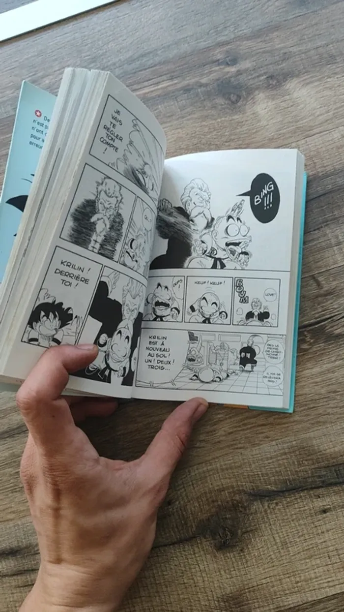 Dragon ball édition pastel no 4 - photo numéro 3