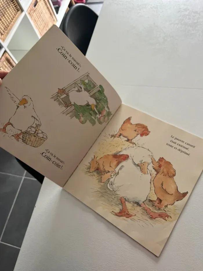 Livre Le canard fermier - photo numéro 3
