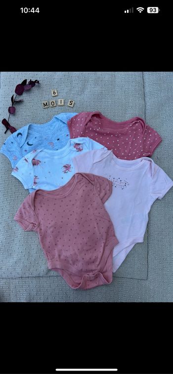 Lot 5 bodies