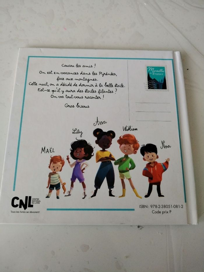 Le pic du midi d'Ossau - photo numéro 2