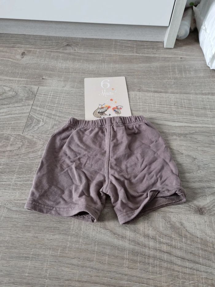 Short 6 mois - photo numéro 3