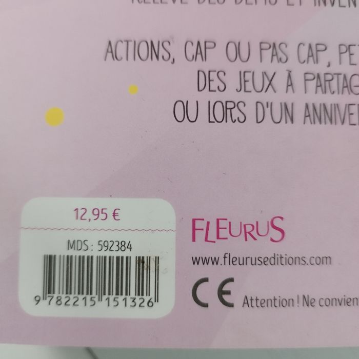 Livre 250 maxi cocottes en papier - photo numéro 3