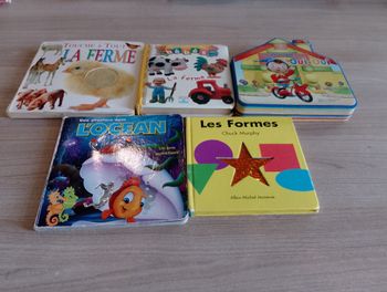 Lot de 5 livres cartonnés, divers (6)