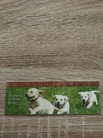 Marque page chiens guides