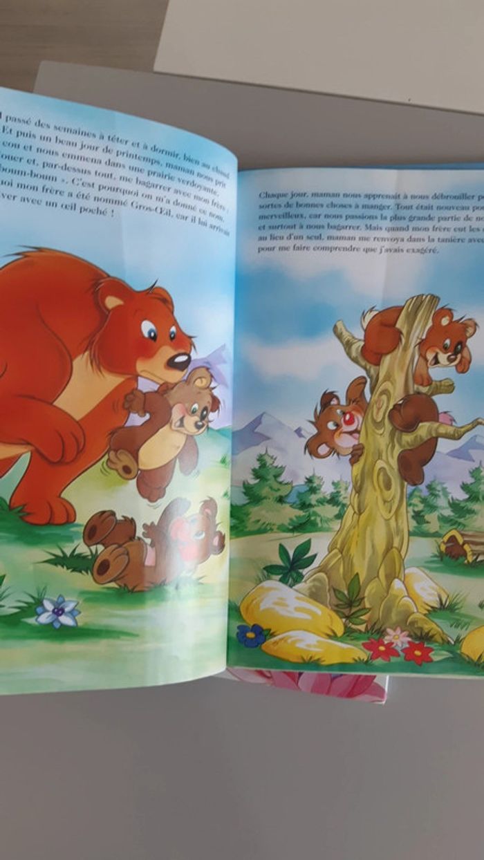 Lot de 2 grands livres "La belle histoire de" - photo numéro 4