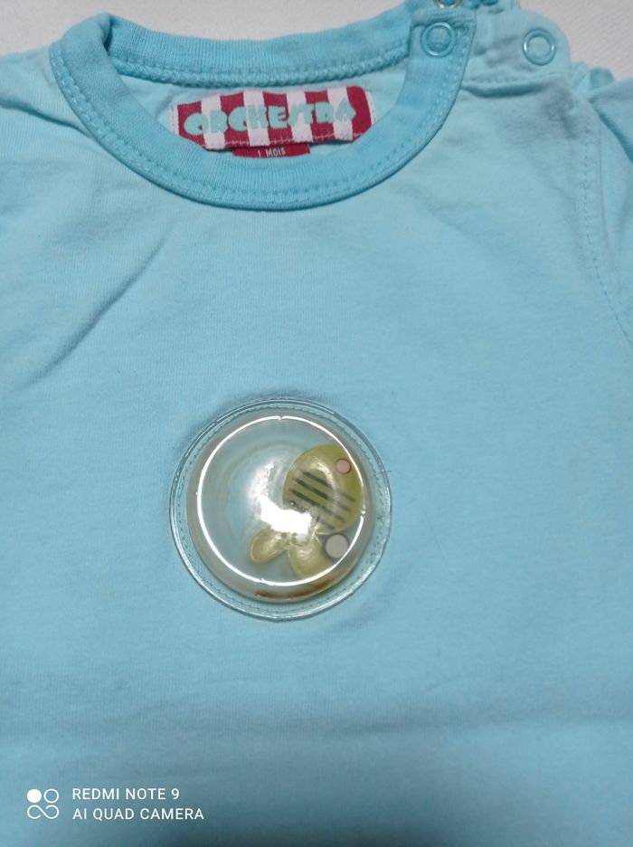 petite grenouillere - photo numéro 2