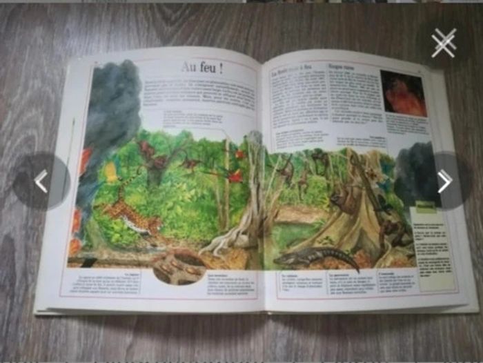 Livre la vie des forêts tropicales - photo numéro 3