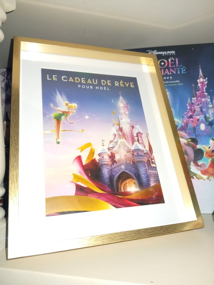 Cadre Le Cadeau de rêve Disneyland Paris - photo numéro 2