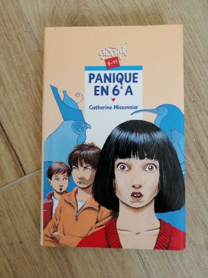 Livre Panique en 6e A de Catherine Missonnier en très bon état