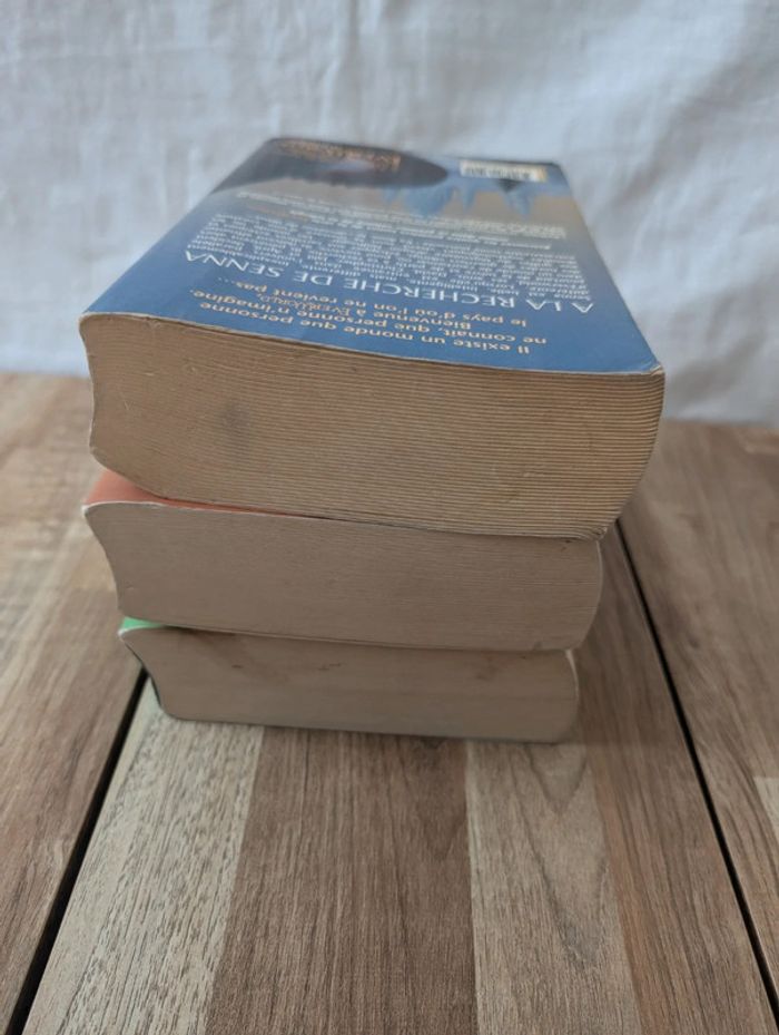 Lot livres Everworld - photo numéro 12
