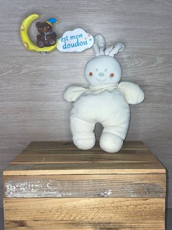 INF01 doudou lapin 🐰 influx