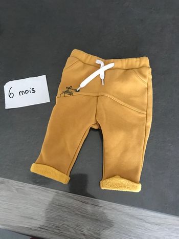 Pantalon zèbre