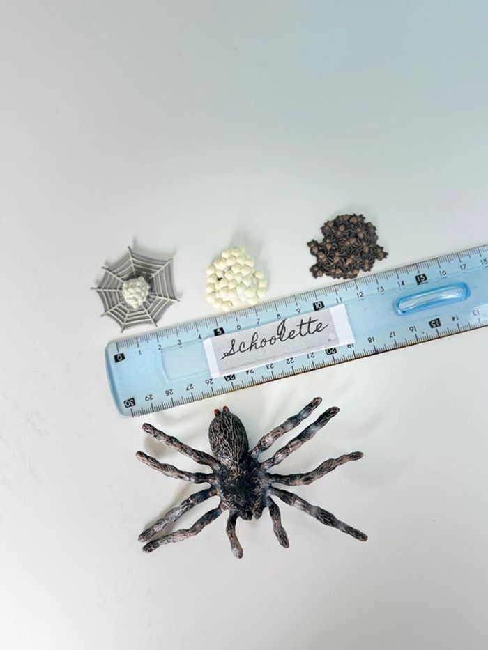 Cycle de vie: L'araignée - Lot de 4 figurines - photo numéro 10