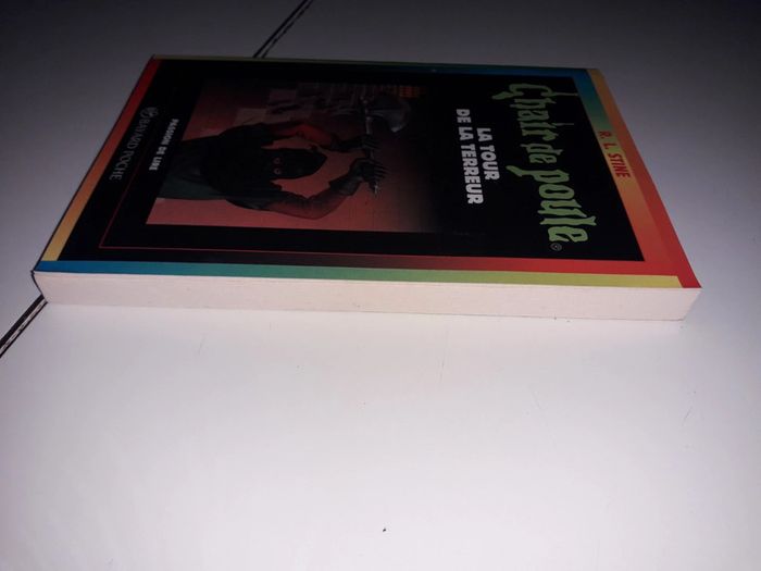 La tour de la terreur 18 Chair de poule - photo numéro 3