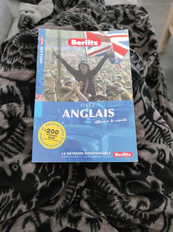 Livre osez l'anglais